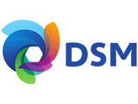 DSM